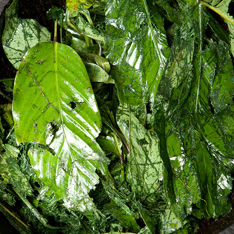 BURE 5_mosaico galeria.jpg